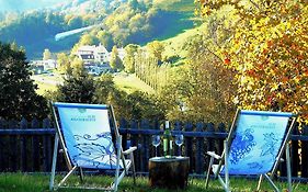 Ferienwohnungen Karin am Seggauberg